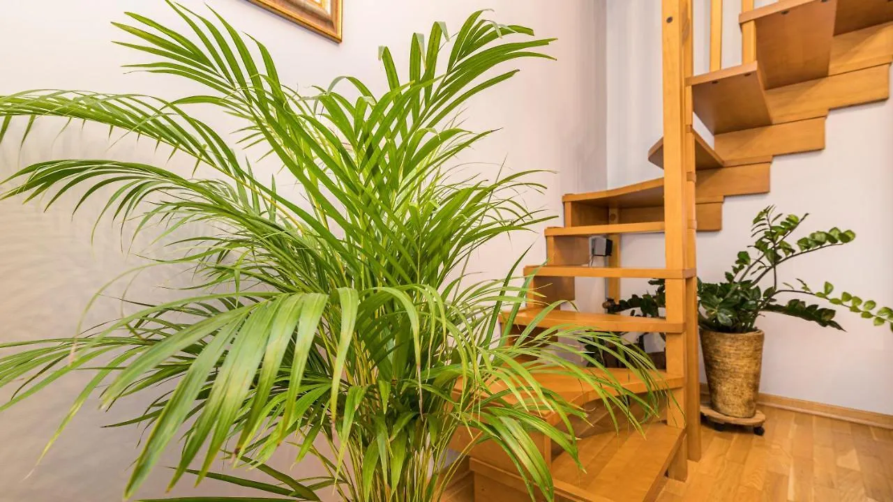 Maya'S Flats & Resorts - Old Town Dluga 72 Maisonette Gdansk 0*,  Poland